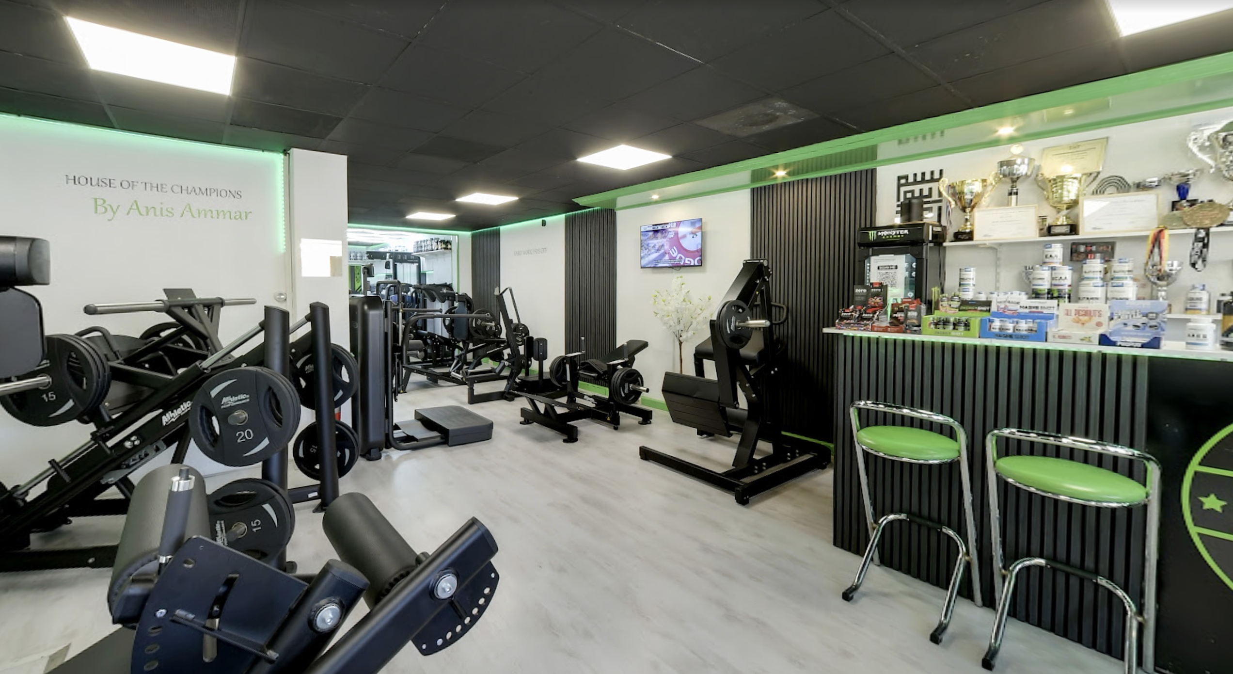 Pro Coaching by anis Ammar prive gym den haag